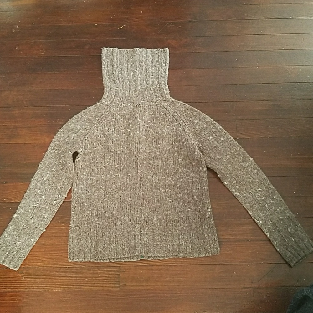 The Limited Turtleneck sweater
